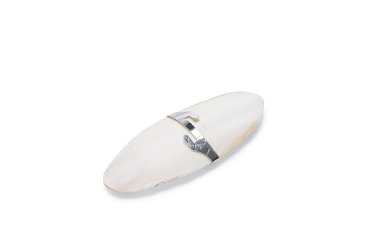 Beeztees Seepiansuomu (Cuttlebone) - 11CM