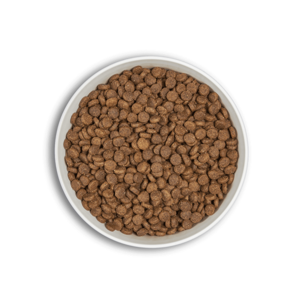 ERA Grain Free Kitten – Fresh Chicken & Turkey (1.25 kg)