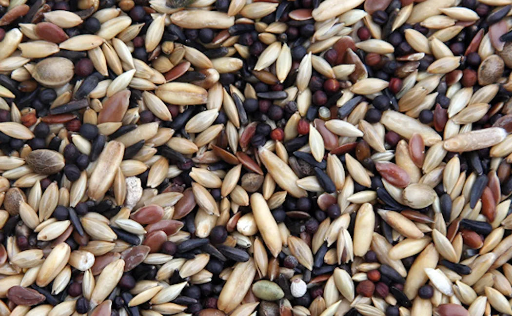 Prestige Canaries – Täysravinto kanarialinnuille 1 kg