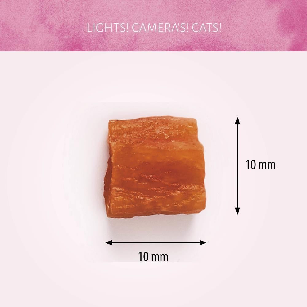 Antos Cat Treats Cubed Salmon 50 gr